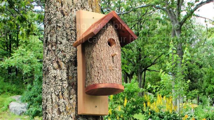 Homemade Bird Houses From Natural Log