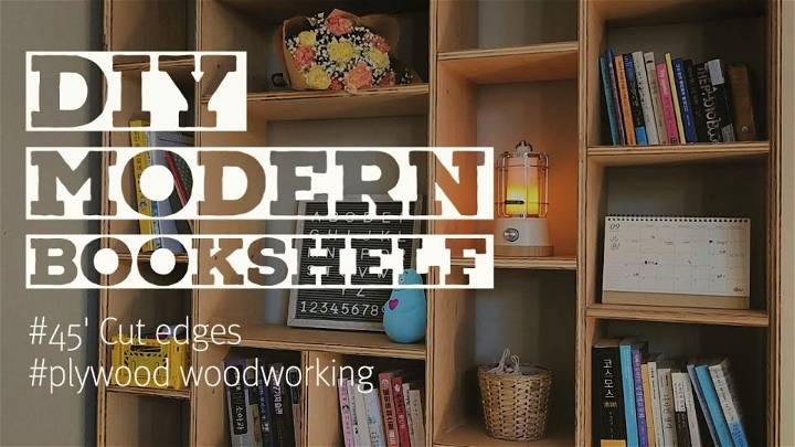 Homemade Plywood Bookshelf