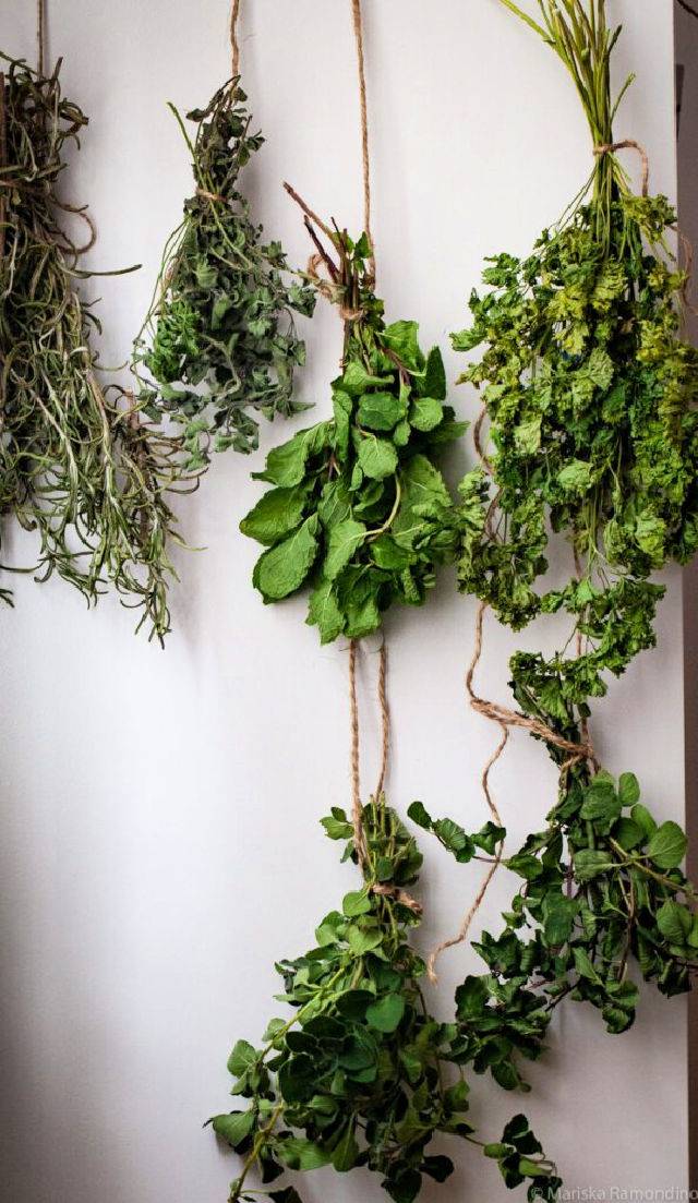 How to Air Dry Herbs at Home
