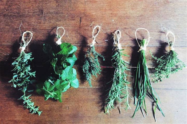 How to Air Dry Herbs