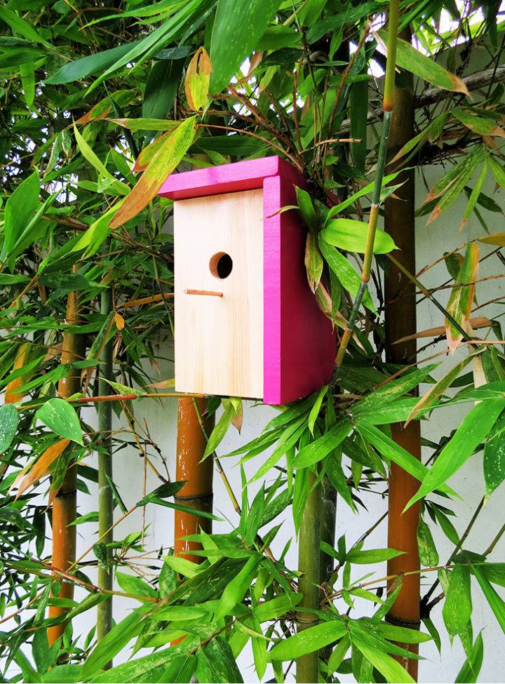 How to Build a Birdhouse