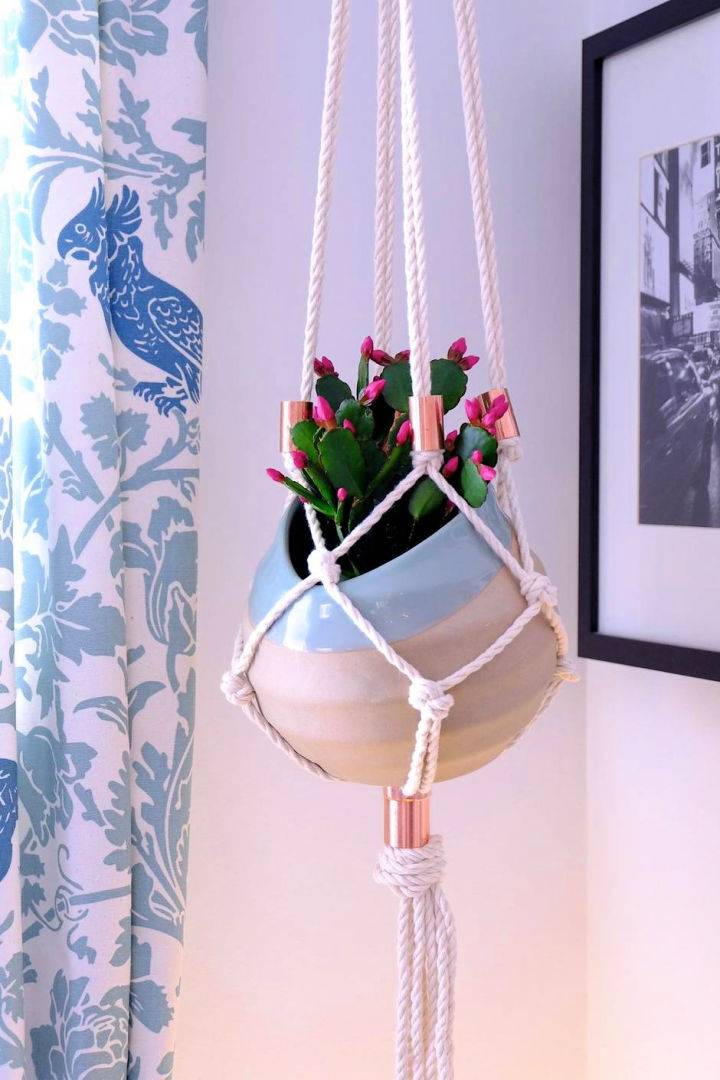 Easy DIY Plant Hanger