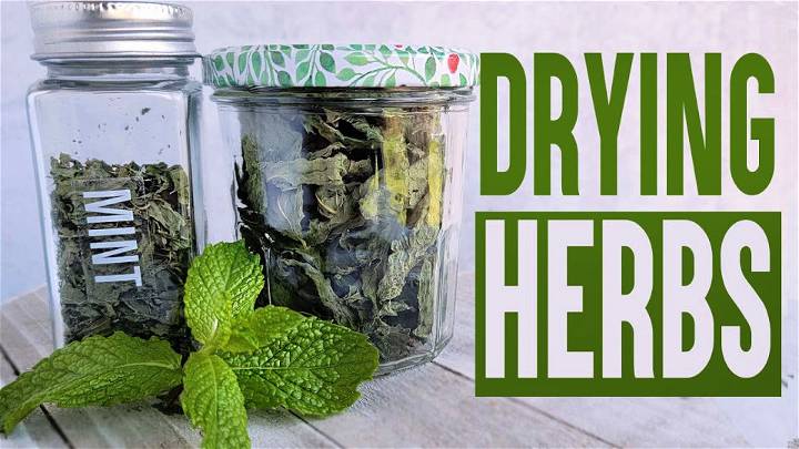 How to Dry Herbs From Your Garden