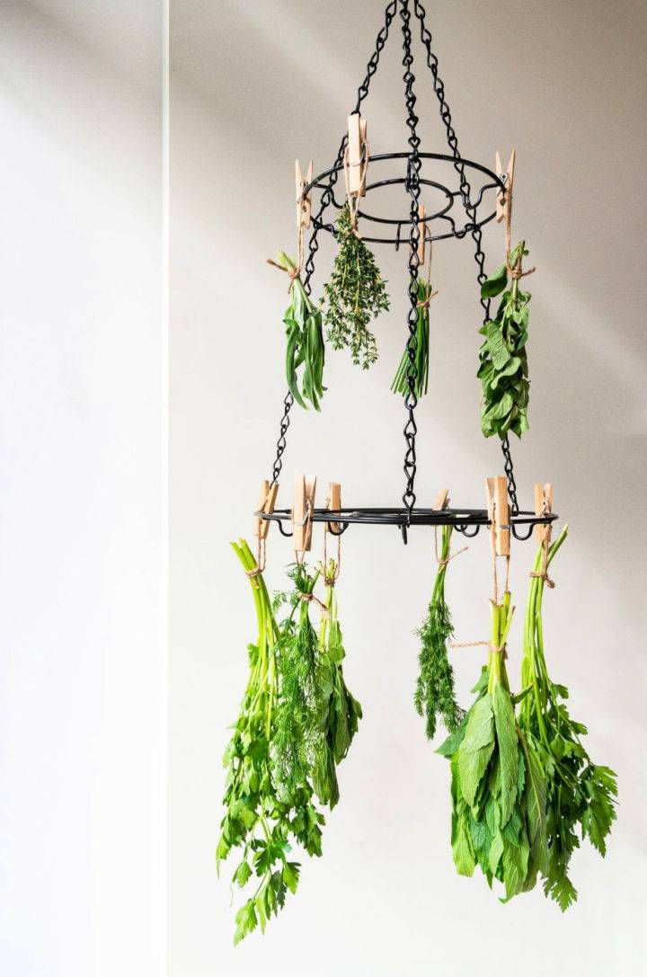 How to Dry Herbs Using Drying Rack