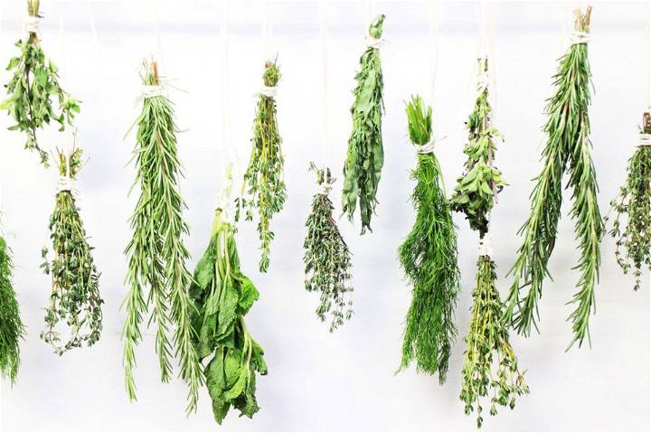How to Dry Herbs by Hanging