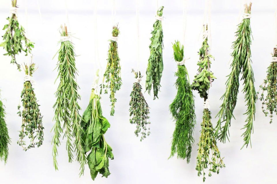 How to Dry Herbs by Hanging