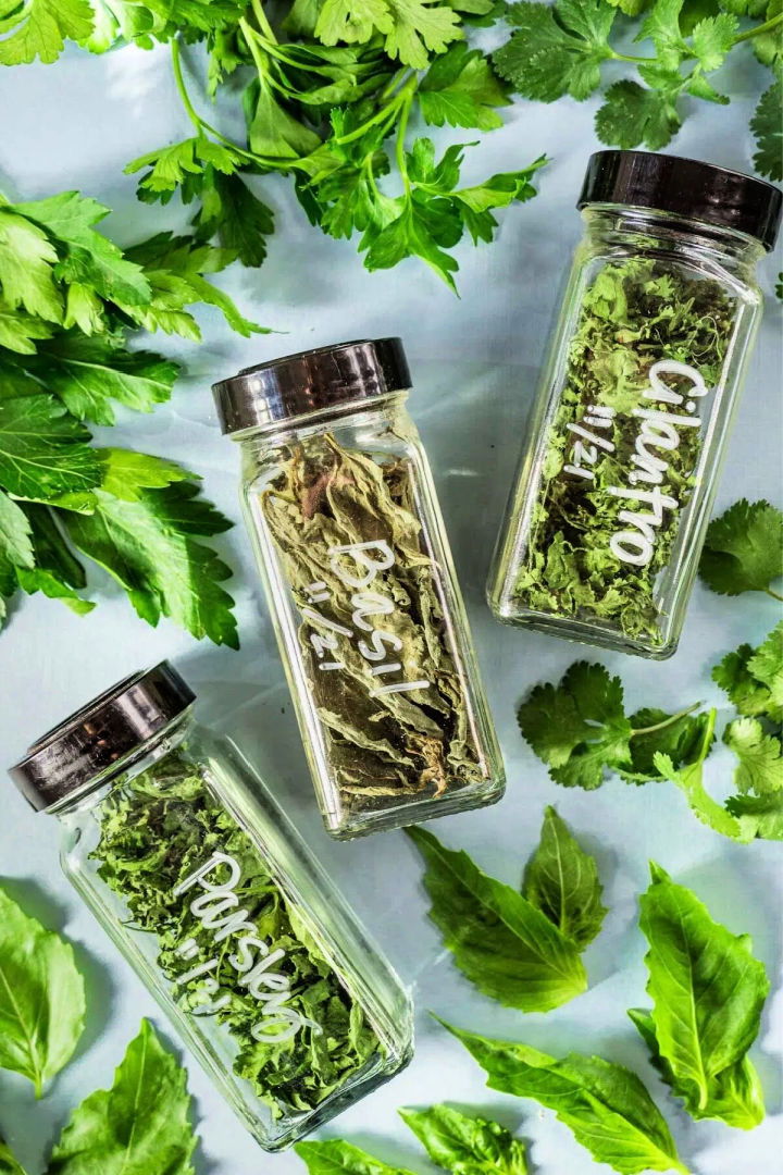 How to Dry Herbs