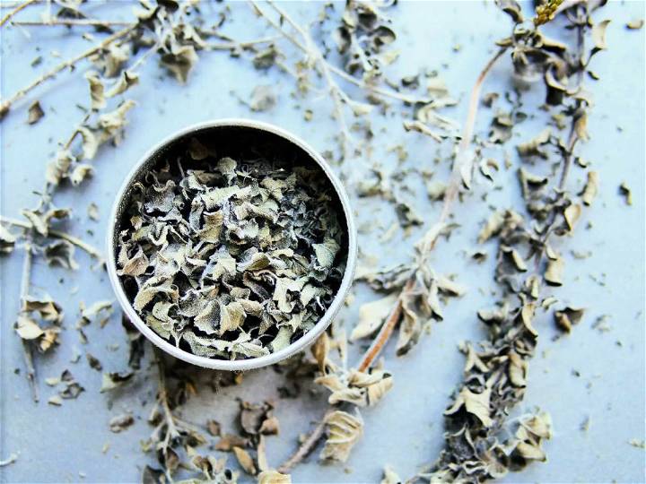 How to Dry Oregano in the Oven