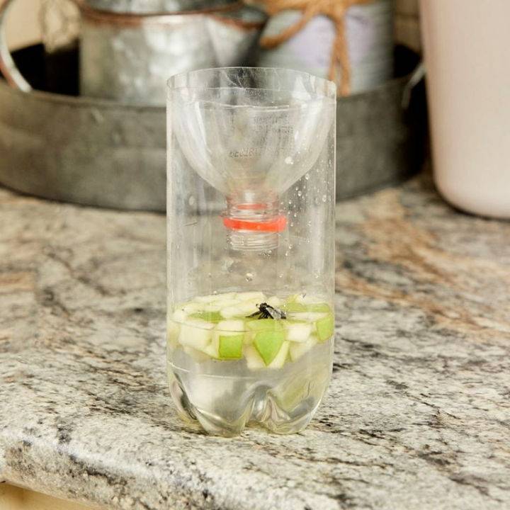 How to Make Fly Trap at Home