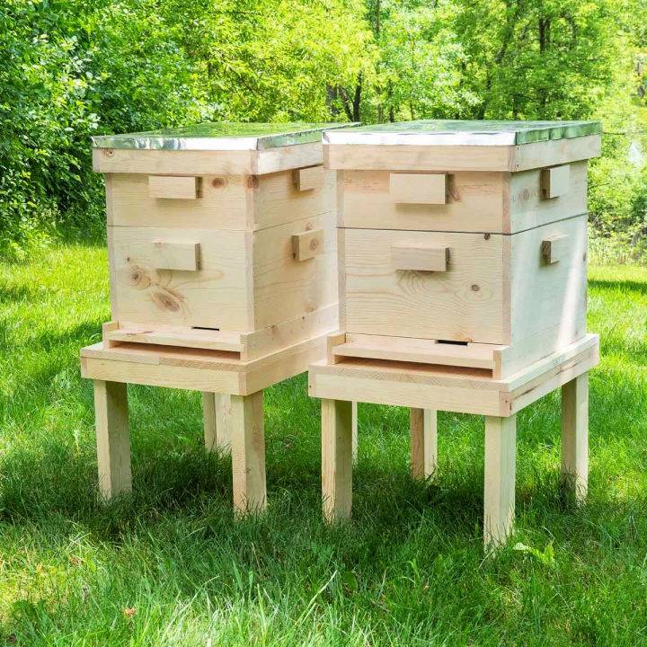 How to Make Your Own Langstroth Beehive