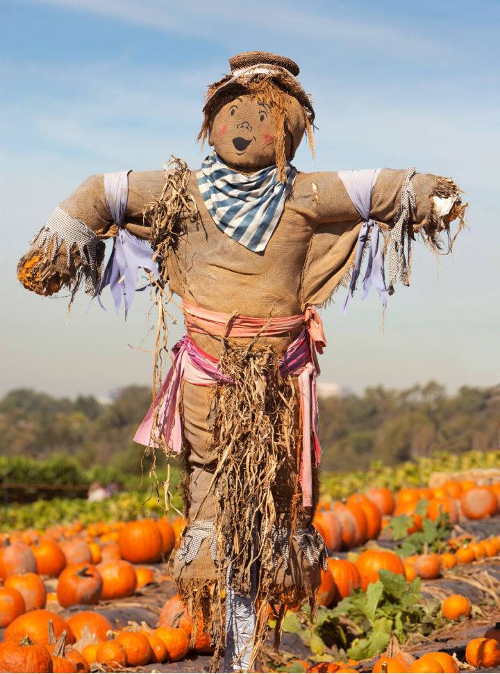 How to Make Your Own Scarecrow