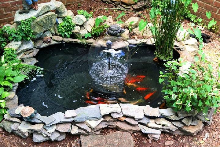 How to Make a Koi Fish Pond