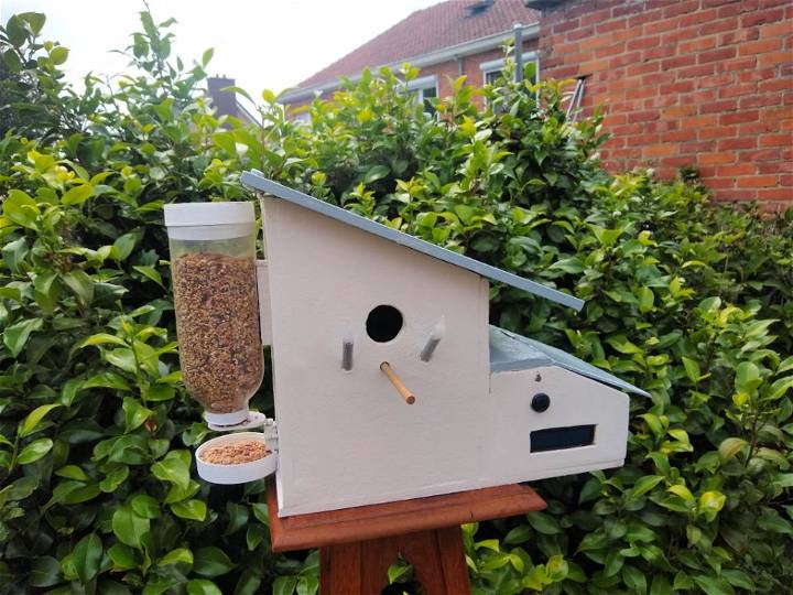 How to Make a Smart Birdhouse