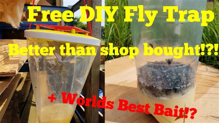Inexpensive DIY Fly Trap Without Vinegar