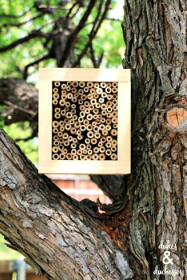Make Your Own Bee House
