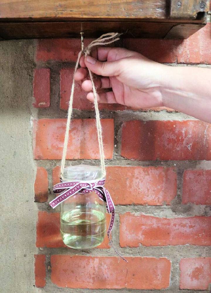 Make Your Own Vinegar Fly Trap