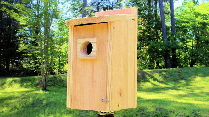 Make a Birdhouse With One Board