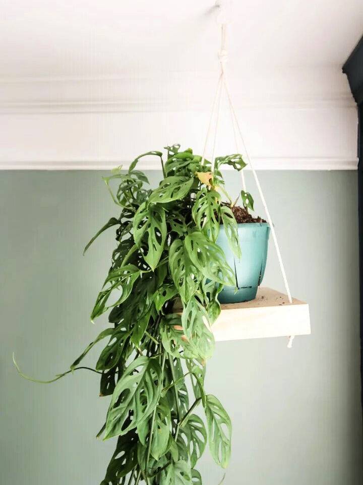 Make a Hanging Plant Shelf