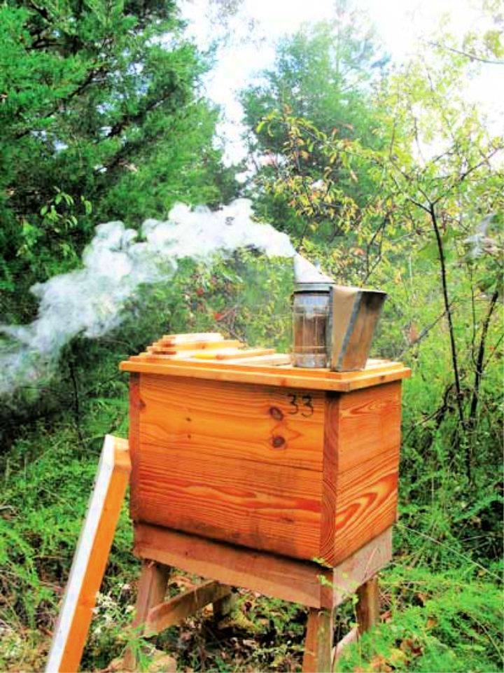 Making Your Own Beehive