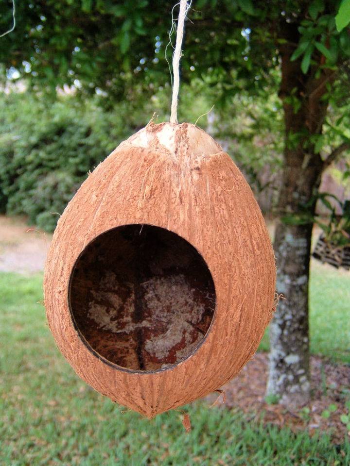 Making a Coconut Birdhouse