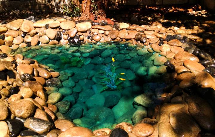Make Your Own Zen Pond