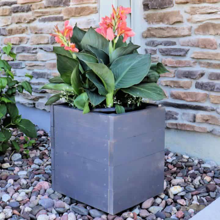 Quick and Easy DIY Wood Planter Box