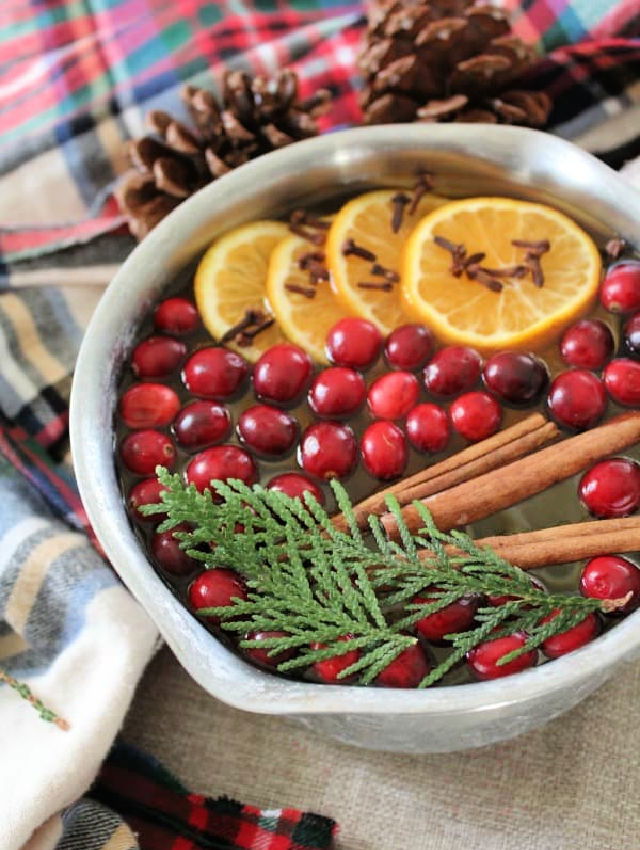 DIY Holiday Stovetop Potpourri - The Merrythought