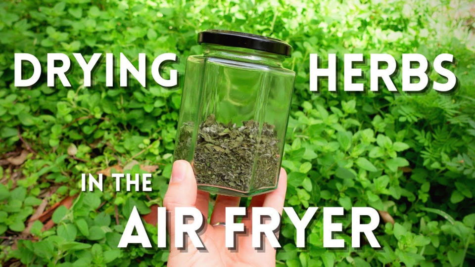 Simple Quick Method to Preserve Herbs