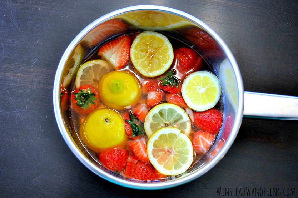 DIY Tropical Summer Stovetop Potpourri