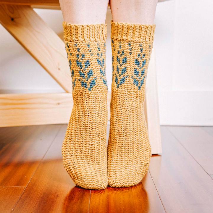 Crochet Vine Colorwork Socks Pattern