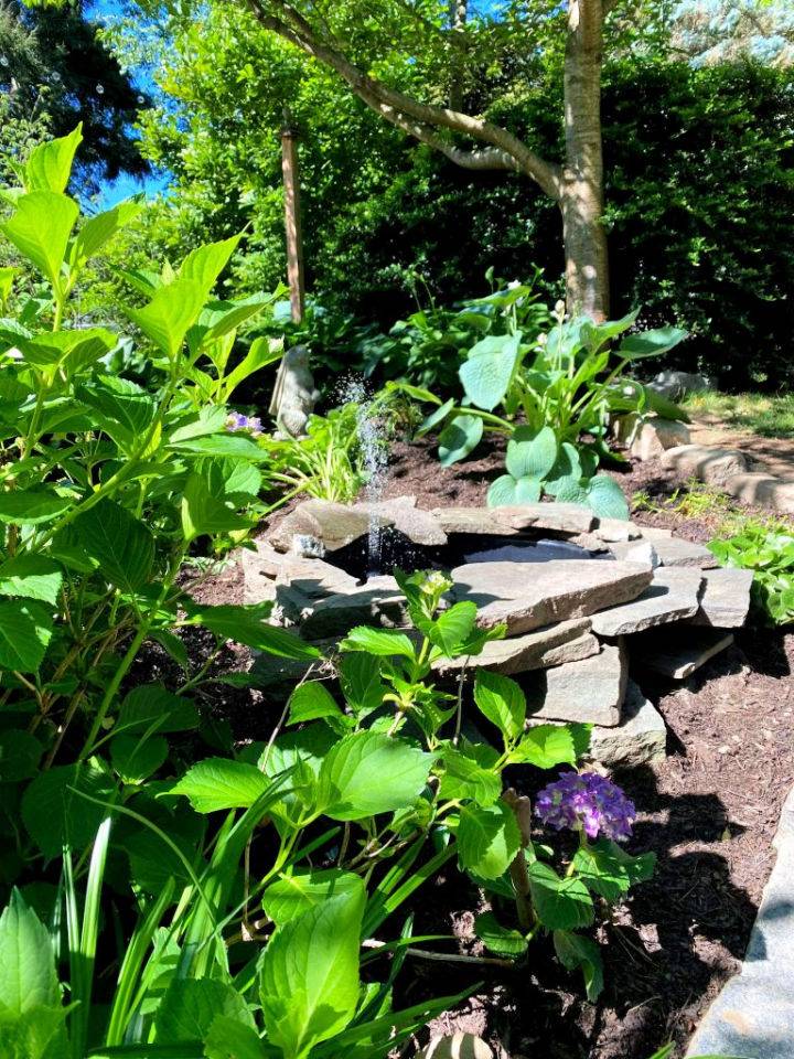 DIY Small Water Garden Pond in a Pot