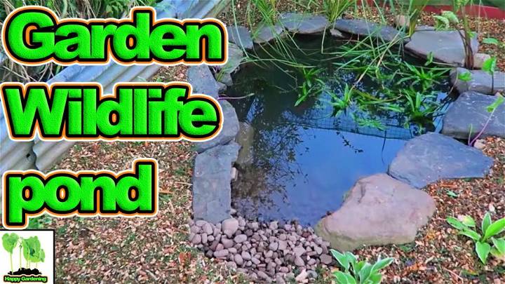 DIY Wildlife Pond Idea
