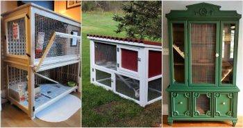 free diy rabbit hutch plans to build your own