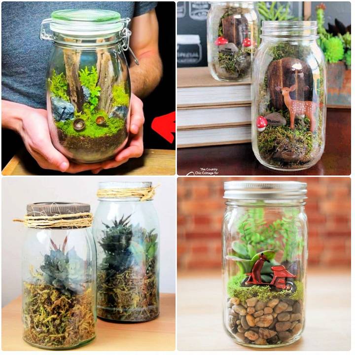 easy mason jar terrarium ideas