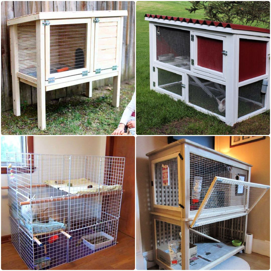 free diy rabbit hutch plans