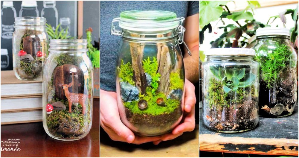 mason jar terrarium ideas