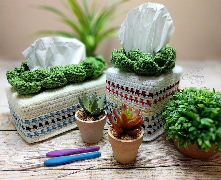 Unique Free Crochet Succulent Tissue Cover Pattern