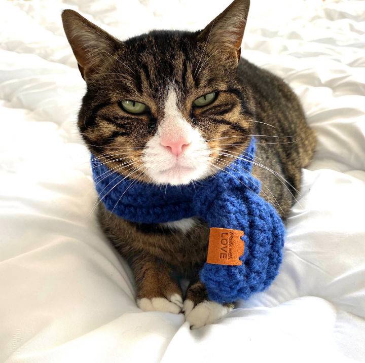 Beautiful Crochet Cat Shawl Pattern