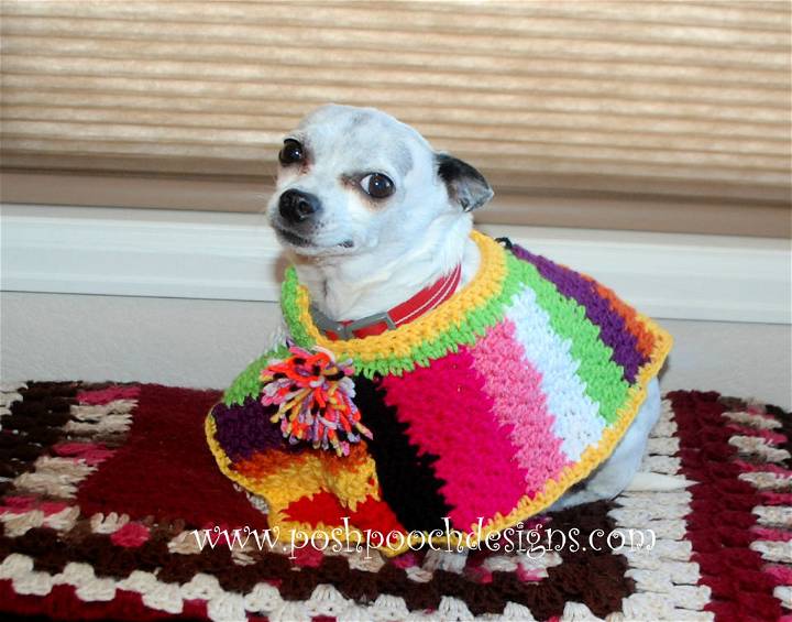 Beautiful Crochet Scrap Happy Dog Poncho Pattern