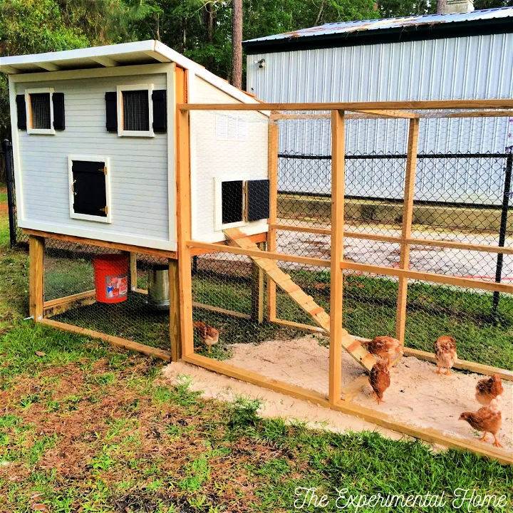 Build a Chicken Coop With Run