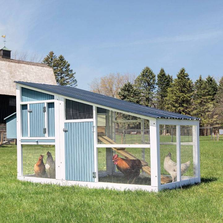 How to Build a Chicken Coop Run