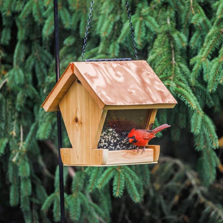 Building a Cardinal Bird Feeder