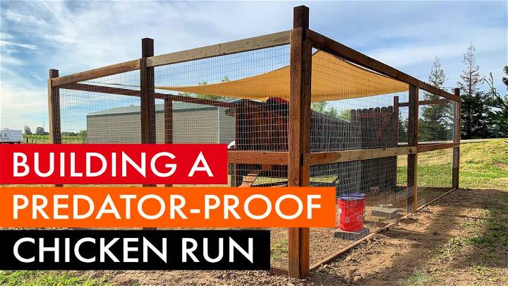 Building a Predator proof Chicken Coop Run