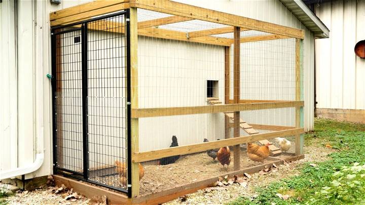 How to Make a Chicken Coop Run