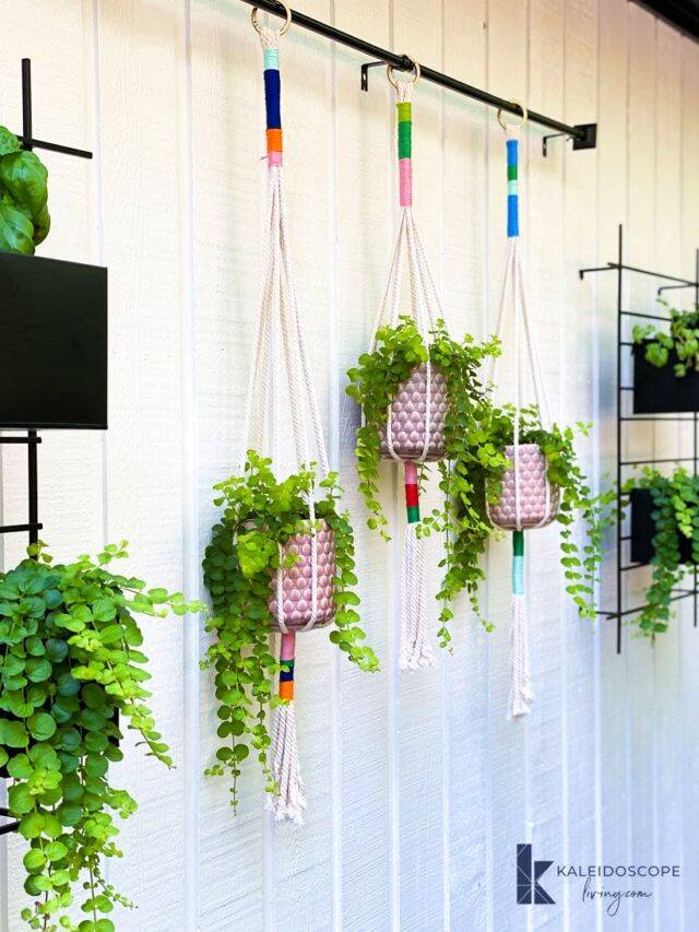 Colorful DIY Macrame Plant Hange