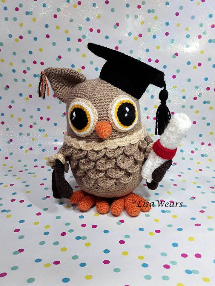 Cool Crochet Wisdom the Graduation Owl Pattern