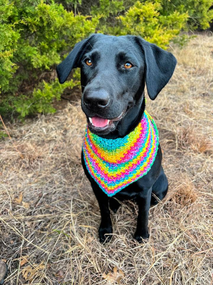 Cute Crochet Dog Bandana Pattern