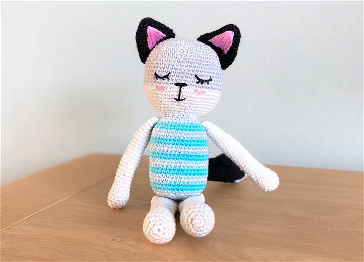 Cute Crochet Foxy the Cat Pattern