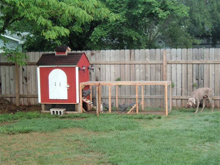 DIY Backyard Chicken Coop Run