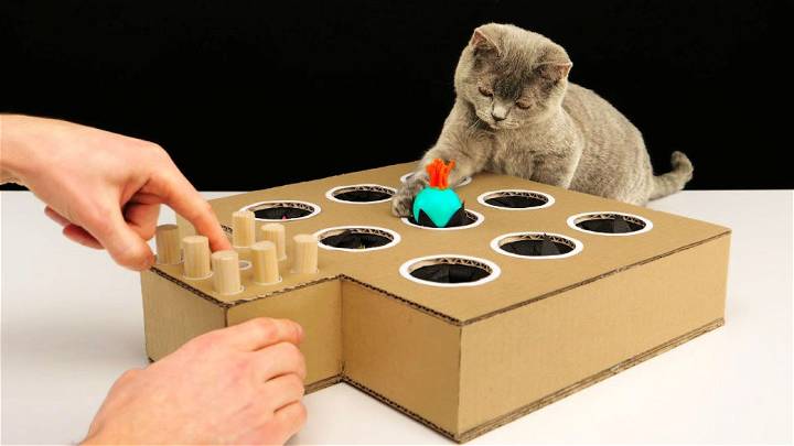 DIY Cat Toy Whack A Mole from Cardboard